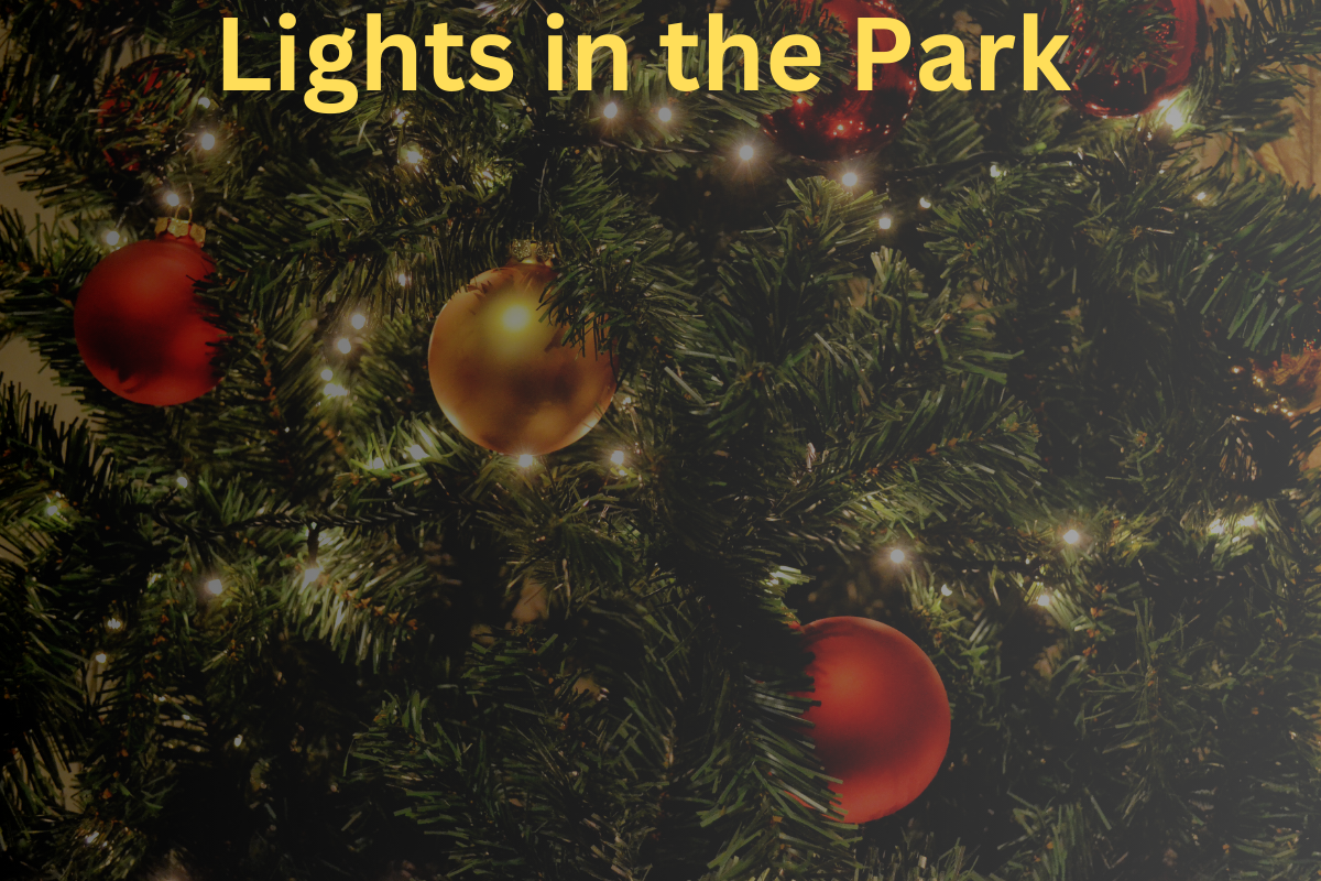Lights in the Park
